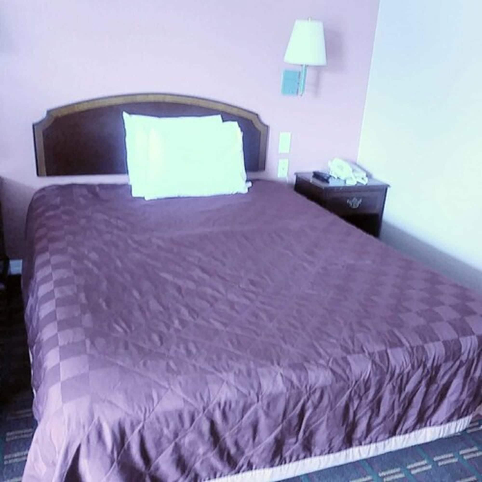 Motel Sealamp